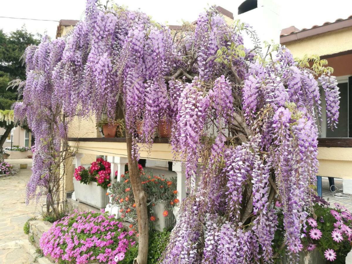 Casa Vacanze La Guzzetta Ranch Villa Canaglia Dış mekan fotoğraf
